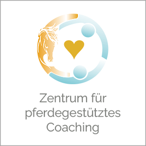 Referenzkunde Webdesign Dr. Silke Volkmann Zentrum für pferdegestütztes Coaching Niedersachsen